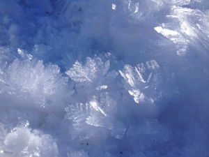 hoar frost crystals